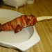 Bacon Chicken Narwhal!